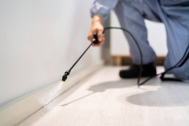 Bed Bug Pre-Treatment Preparation Assessment in Florala