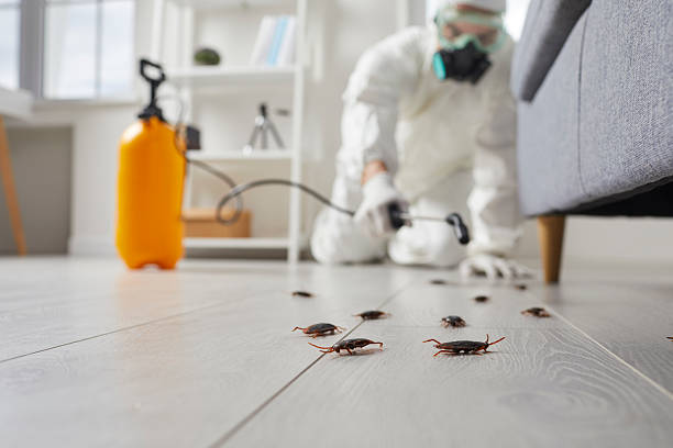 Post-Treatment Bed Bug Interceptor Monitoring in Florala