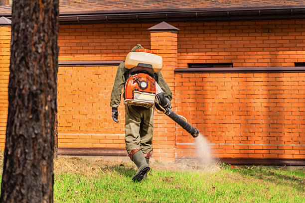 Bed Bug Clearance Verification and Documentation in Florala